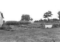 Steck farm crops